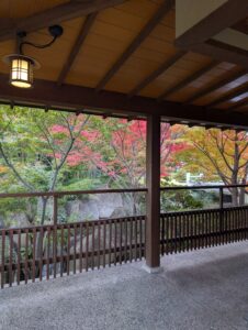 Read more about the article A Peaceful Autumn Escape in Nagoya