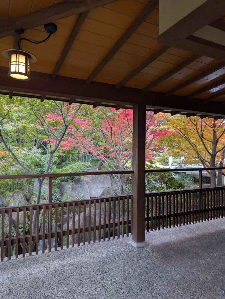 A Peaceful Autumn Escape in Nagoya