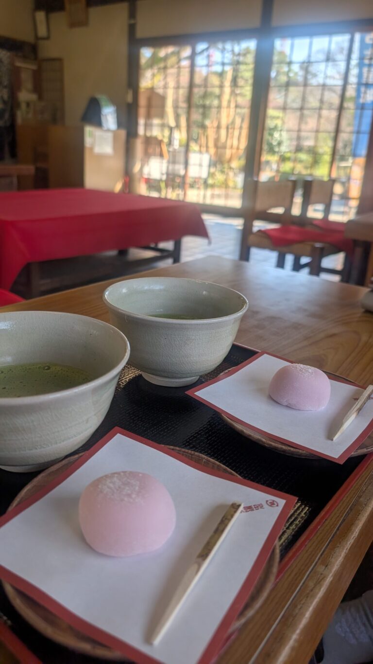 Matcha Time at Nagoya Castle🏯